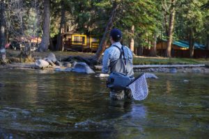 Traditioner för oss samman
